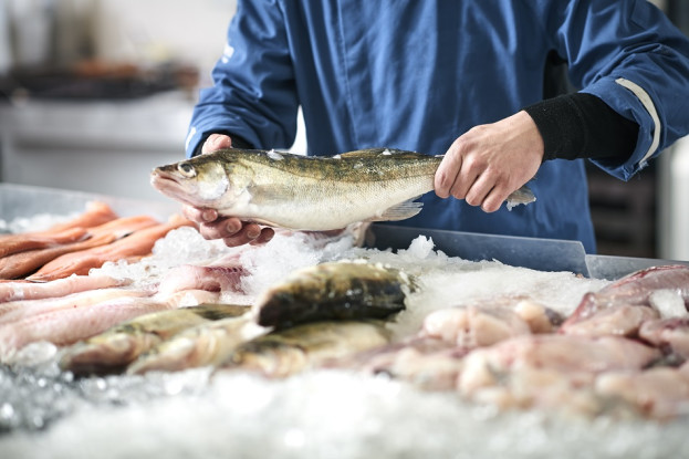 Como escolher peixe fresco no mercado